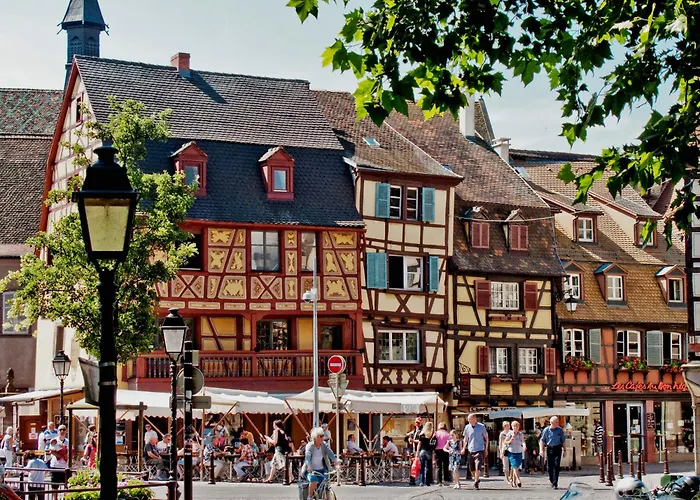 Brasseur